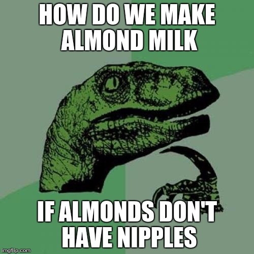 Philosoraptor | HOW DO WE MAKE ALMOND MILK; IF ALMONDS DON'T HAVE NIPPLES | image tagged in memes,philosoraptor | made w/ Imgflip meme maker