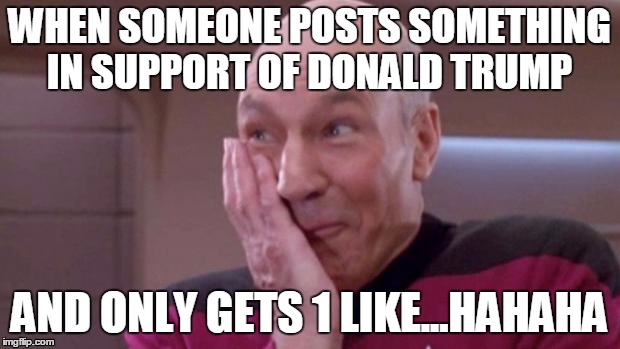 picard oops | WHEN SOMEONE POSTS SOMETHING IN SUPPORT OF DONALD TRUMP; AND ONLY GETS 1 LIKE...HAHAHA | image tagged in picard oops | made w/ Imgflip meme maker