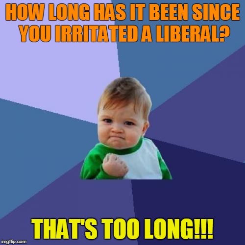 Liberal Irritater  | HOW LONG HAS IT BEEN SINCE YOU IRRITATED A LIBERAL? THAT'S TOO LONG!!! | image tagged in liberal,politics | made w/ Imgflip meme maker