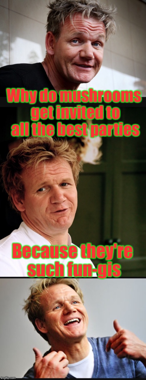 Bad pun chef Ramsey  | Why do mushrooms get invited to all the best parties; Because they're such fun-gis | image tagged in memes,bad pun,funny memes,gordon ramsey,chef,mushrooms | made w/ Imgflip meme maker