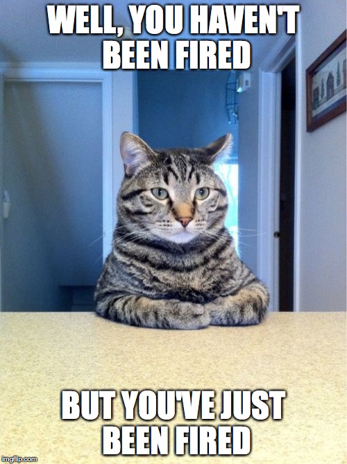 Take A Seat Cat Meme | WELL, YOU HAVEN'T BEEN FIRED; BUT YOU'VE JUST BEEN FIRED | image tagged in memes,take a seat cat | made w/ Imgflip meme maker
