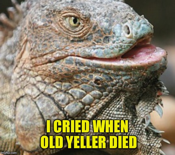 Iguana | I CRIED WHEN OLD YELLER DIED | image tagged in iguana | made w/ Imgflip meme maker