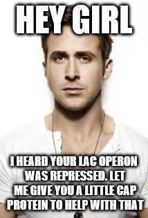 Ryan Gosling Meme | HEY GIRL; I HEARD YOUR LAC OPERON WAS REPRESSED. LET ME GIVE YOU A LITTLE CAP PROTEIN TO HELP WITH THAT | image tagged in memes,ryan gosling | made w/ Imgflip meme maker