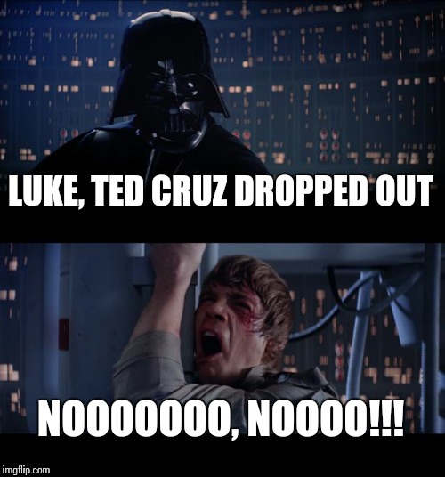 Well, America's screwed | LUKE, TED CRUZ DROPPED OUT; NOOOOOOO, NOOOO!!! | image tagged in memes,star wars no | made w/ Imgflip meme maker