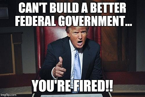 Donald Trump You're Fired | CAN'T BUILD A BETTER FEDERAL GOVERNMENT... YOU'RE FIRED!! | image tagged in donald trump you're fired | made w/ Imgflip meme maker