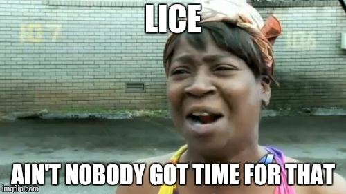 Ain't Nobody Got Time For That Meme | LICE; AIN'T NOBODY GOT TIME FOR THAT | image tagged in memes,aint nobody got time for that | made w/ Imgflip meme maker