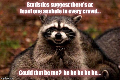 Evil Plotting Raccoon | Statistics suggest there's at least one asshole in every crowd... Could that be me?
 he he he he he... | image tagged in memes,evil plotting raccoon | made w/ Imgflip meme maker