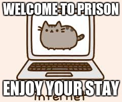 PRISON | WELCOME TO PRISON; ENJOY YOUR STAY | image tagged in pusheen,meme,tinymoon101,lol,prison,cute | made w/ Imgflip meme maker