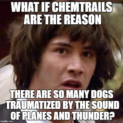 Conspiracy Keanu | WHAT IF CHEMTRAILS ARE THE REASON; THERE ARE SO MANY DOGS TRAUMATIZED BY THE SOUND OF PLANES AND THUNDER? | image tagged in memes,conspiracy keanu,chemtrails,it's a conspiracy,evil government | made w/ Imgflip meme maker