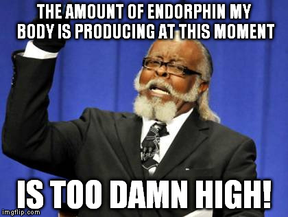 Too Damn High Meme | THE AMOUNT OF ENDORPHIN MY BODY IS PRODUCING AT THIS MOMENT IS TOO DAMN HIGH! | image tagged in memes,too damn high | made w/ Imgflip meme maker