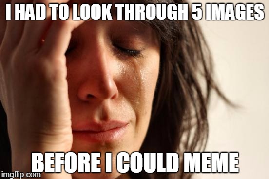 perfectionist | I HAD TO LOOK THROUGH 5 IMAGES; BEFORE I COULD MEME | image tagged in memes,first world problems | made w/ Imgflip meme maker