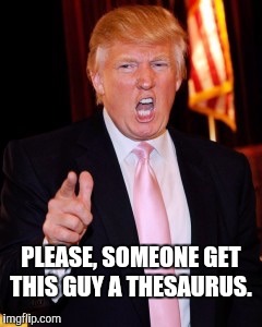 Donald Trump | PLEASE, SOMEONE GET THIS GUY A THESAURUS. | image tagged in donald trump | made w/ Imgflip meme maker