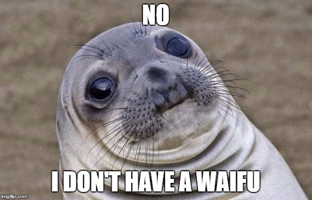 That moment when you realise | NO; I DON'T HAVE A WAIFU | image tagged in memes,awkward moment sealion,waifu,anime,funny | made w/ Imgflip meme maker