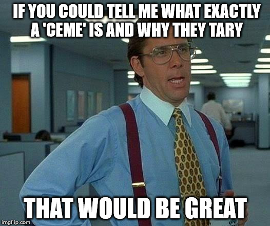 That Would Be Great Meme | IF YOU COULD TELL ME WHAT EXACTLY A 'CEME' IS AND WHY THEY TARY THAT WOULD BE GREAT | image tagged in memes,that would be great | made w/ Imgflip meme maker