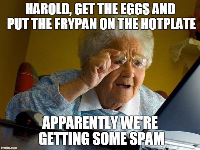 Grandma Finds The Internet | HAROLD, GET THE EGGS AND PUT THE FRYPAN ON THE HOTPLATE; APPARENTLY WE'RE GETTING SOME SPAM | image tagged in memes,grandma finds the internet | made w/ Imgflip meme maker