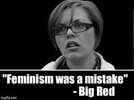 Feminism was. | "Feminism was a mistake"
                           - Big Red | image tagged in miyazaki,feminism,mistake | made w/ Imgflip meme maker
