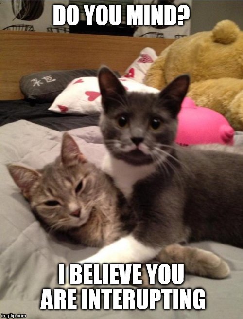 DO YOU MIND? I BELIEVE YOU ARE INTERUPTING | image tagged in mustache cat | made w/ Imgflip meme maker