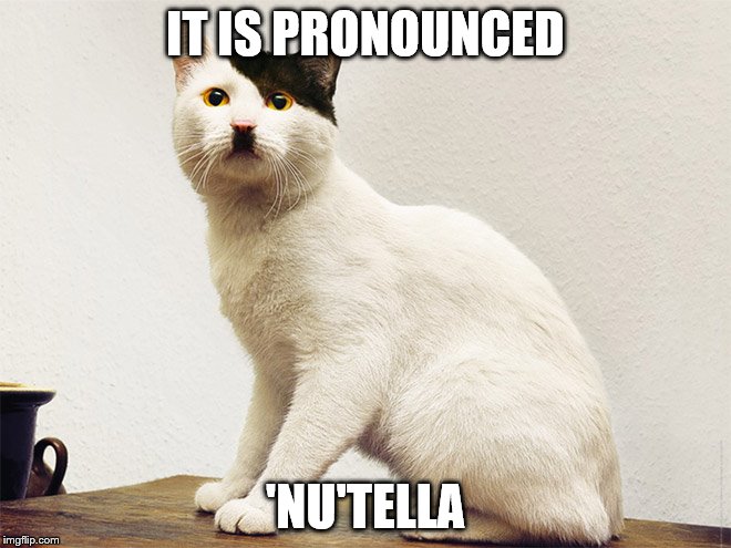 IT IS PRONOUNCED 'NU'TELLA | image tagged in kitler | made w/ Imgflip meme maker