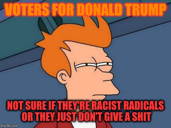 Donald Trump voters. | VOTERS FOR DONALD TRUMP; NOT SURE IF THEY'RE RACIST RADICALS OR THEY JUST DON'T GIVE A SHIT | image tagged in memes,futurama fry,donald trump,voters | made w/ Imgflip meme maker