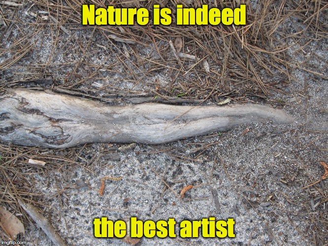 I came upon this tree root during one of my walks and was struck by how closely it resembled the female form | Nature is indeed; the best artist | image tagged in art,tree root,nature | made w/ Imgflip meme maker