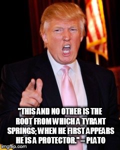 Donald Trump | "THIS AND NO OTHER IS THE ROOT FROM WHICH A TYRANT SPRINGS; WHEN HE FIRST APPEARS HE IS A PROTECTOR." – PLATO | image tagged in donald trump | made w/ Imgflip meme maker