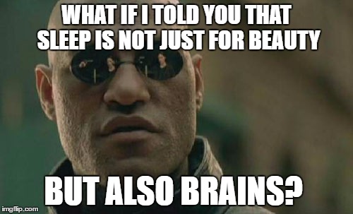 Matrix Morpheus Meme | WHAT IF I TOLD YOU THAT SLEEP IS NOT JUST FOR BEAUTY; BUT ALSO BRAINS? | image tagged in memes,matrix morpheus | made w/ Imgflip meme maker