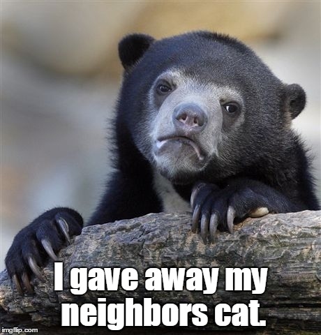 Confession Bear | I gave away my neighbors cat. | image tagged in memes,confession bear | made w/ Imgflip meme maker