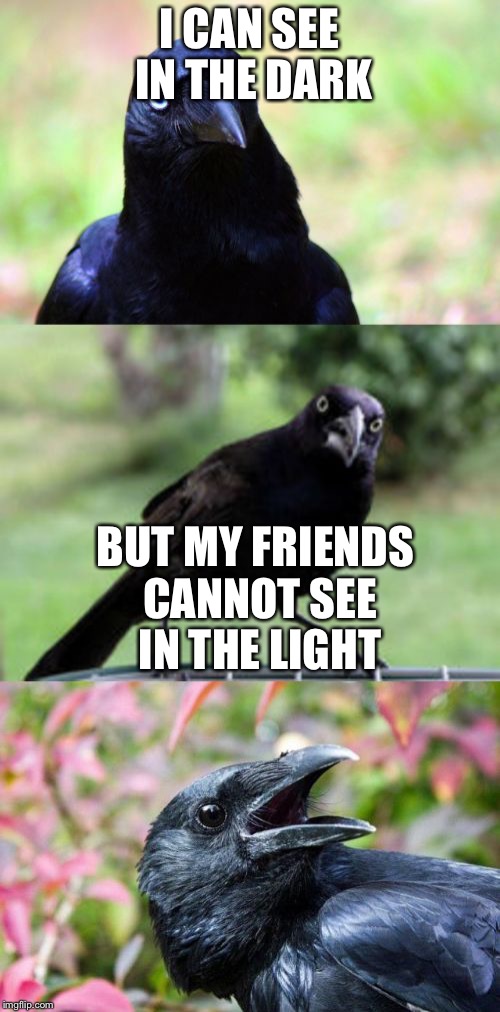 bad pun crow | I CAN SEE IN THE DARK; BUT MY FRIENDS CANNOT SEE IN THE LIGHT | image tagged in bad pun crow | made w/ Imgflip meme maker