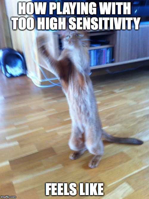 Dizzy cat | HOW PLAYING WITH TOO HIGH SENSITIVITY; FEELS LIKE | image tagged in dizzy cat | made w/ Imgflip meme maker