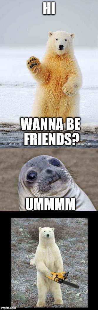 Wanna be friends? | HI; WANNA BE FRIENDS? UMMMM | image tagged in polar bear,chainsaw,bear,seal,friends,hello bear | made w/ Imgflip meme maker
