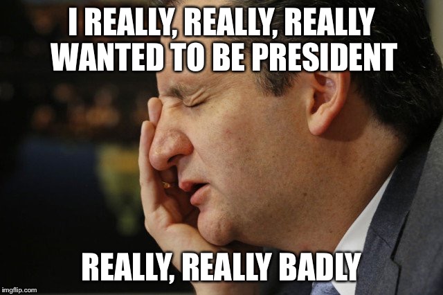 Finally the Zodiac Killer drops out! |  I REALLY, REALLY, REALLY WANTED TO BE PRESIDENT; REALLY, REALLY BADLY | image tagged in finally,ted cruz,drop,out | made w/ Imgflip meme maker