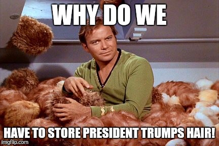 Donald Trump's Hair II | WHY DO WE; HAVE TO STORE PRESIDENT TRUMPS HAIR! | image tagged in donald trump's hair ii | made w/ Imgflip meme maker