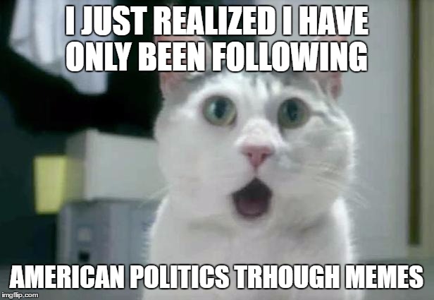 OMG Cat Meme | I JUST REALIZED I HAVE ONLY BEEN FOLLOWING; AMERICAN POLITICS TRHOUGH MEMES | image tagged in memes,omg cat | made w/ Imgflip meme maker