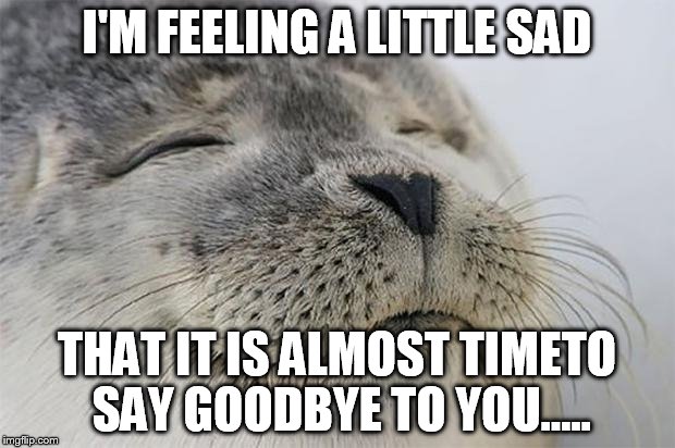 Satisfied Seal Meme | I'M FEELING A LITTLE SAD; THAT IT IS ALMOST TIMETO SAY GOODBYE TO YOU..... | image tagged in memes,satisfied seal | made w/ Imgflip meme maker