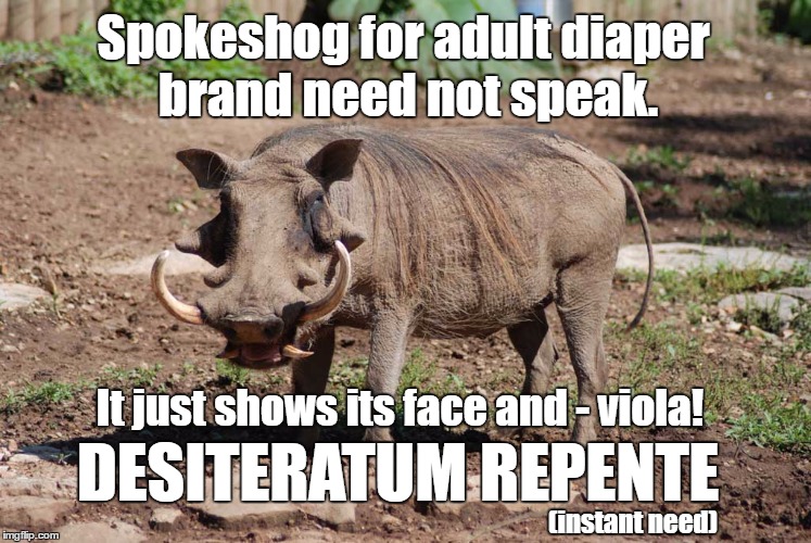 Spokeshog |  Spokeshog for adult diaper brand need not speak. It just shows its face and - viola! DESITERATUM REPENTE; (instant need) | image tagged in warthog,memes,adult diapers,funny memes,need | made w/ Imgflip meme maker