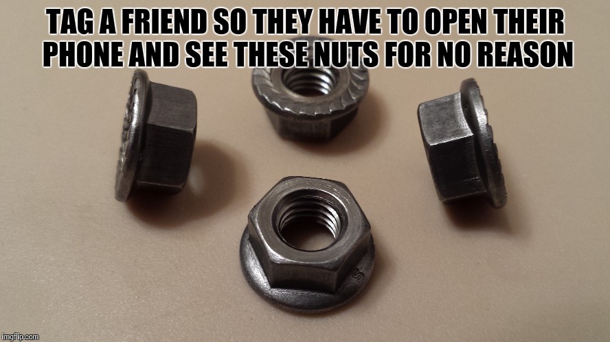 See these nuts... | TAG A FRIEND SO THEY HAVE TO OPEN THEIR PHONE AND SEE THESE NUTS FOR NO REASON | image tagged in memes,funny memes,tag a friend | made w/ Imgflip meme maker