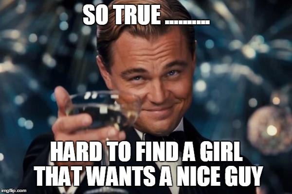 SO TRUE .......... HARD TO FIND A GIRL THAT WANTS A NICE GUY | image tagged in memes,leonardo dicaprio cheers | made w/ Imgflip meme maker