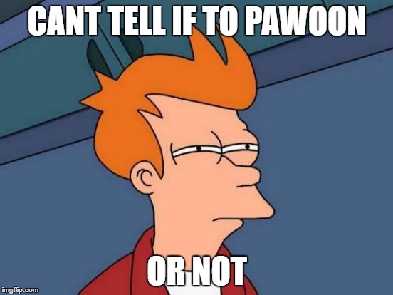 Futurama Fry Meme | CANT TELL IF TO PAWOON; OR NOT | image tagged in memes,futurama fry | made w/ Imgflip meme maker