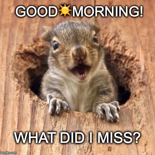 Perky Sunshine  | GOOD☀️MORNING! WHAT DID I MISS? | image tagged in good morning,janey mack meme,what'd i miss | made w/ Imgflip meme maker