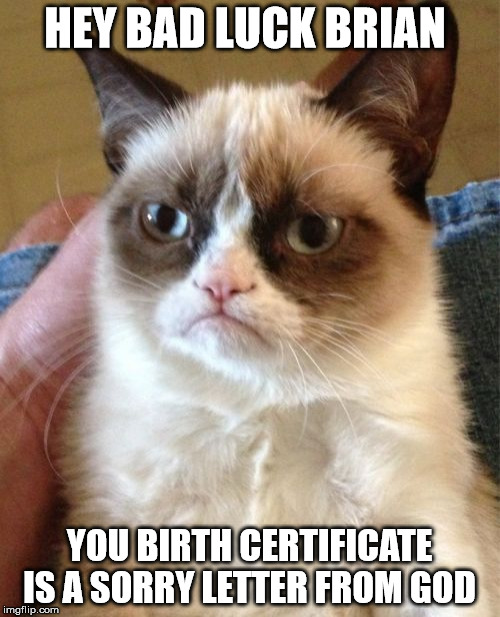 Grumpy Cat Meme | HEY BAD LUCK BRIAN; YOU BIRTH CERTIFICATE IS A SORRY LETTER FROM GOD | image tagged in memes,grumpy cat | made w/ Imgflip meme maker