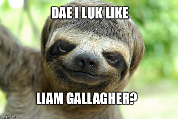 swag sloth with haircut | DAE I LUK LIKE; LIAM GALLAGHER? | image tagged in swag sloth with haircut | made w/ Imgflip meme maker