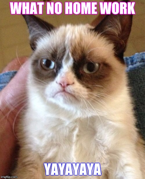 Grumpy Cat Meme | WHAT NO HOME WORK; YAYAYAYA | image tagged in memes,grumpy cat | made w/ Imgflip meme maker
