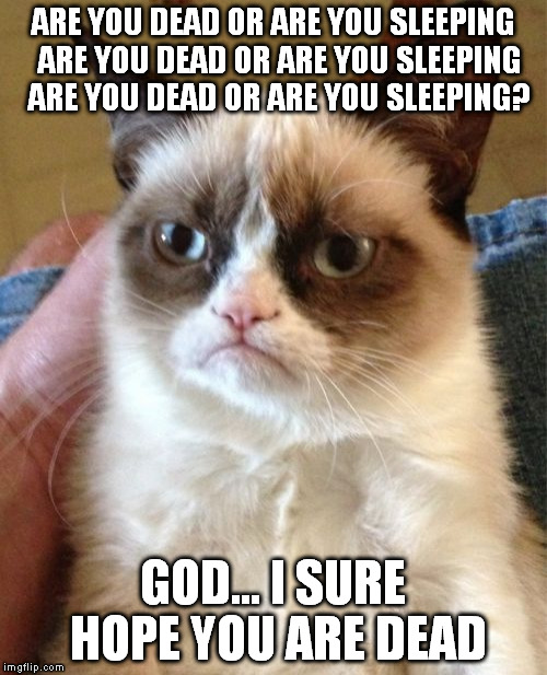 Grumpy Cat loves Modest Mouse | ARE YOU DEAD OR ARE YOU SLEEPING 
ARE YOU DEAD OR ARE YOU SLEEPING 
ARE YOU DEAD OR ARE YOU SLEEPING? GOD... I SURE HOPE YOU ARE DEAD | image tagged in memes,grumpy cat | made w/ Imgflip meme maker