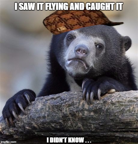 Confession Bear Meme | I SAW IT FLYING AND CAUGHT IT I DIDN'T KNOW . . . | image tagged in memes,confession bear,scumbag | made w/ Imgflip meme maker