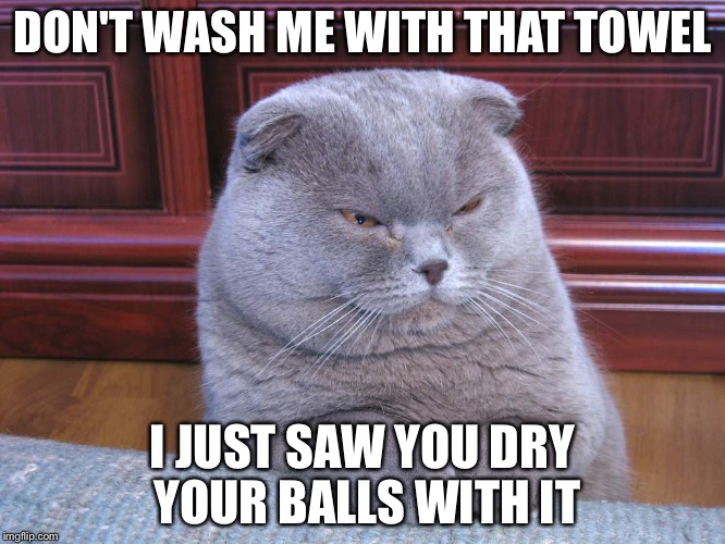Disgusted Fold | DON'T WASH ME WITH THAT TOWEL; I JUST SAW YOU DRY YOUR BALLS WITH IT | image tagged in disgusted fold | made w/ Imgflip meme maker