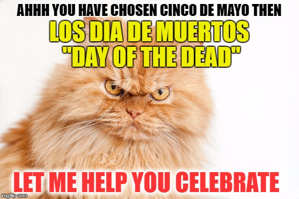 AHHH YOU HAVE CHOSEN CINCO DE MAYO THEN LOS DIA DE MUERTOS "DAY OF THE DEAD" LET ME HELP YOU CELEBRATE | made w/ Imgflip meme maker