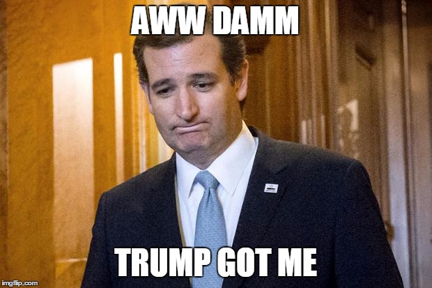 Ted Cruz Screwed | AWW DAMM; TRUMP GOT ME | image tagged in ted cruz screwed | made w/ Imgflip meme maker