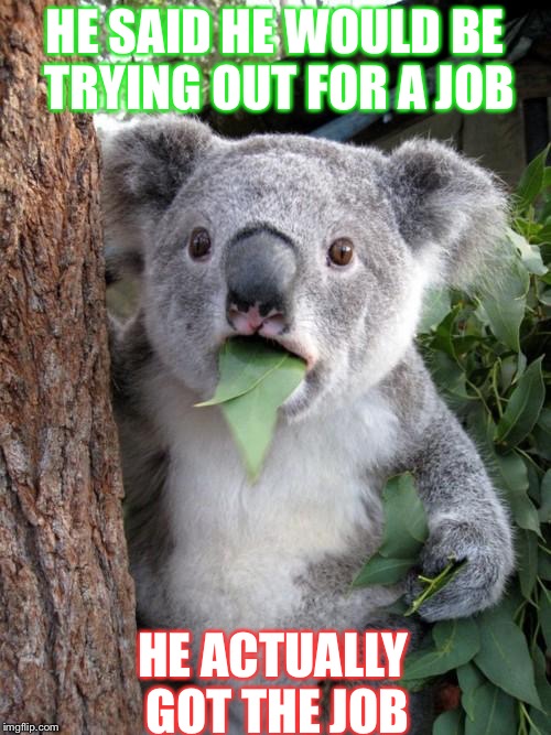 Surprised Koala | HE SAID HE WOULD BE TRYING OUT FOR A JOB; HE ACTUALLY GOT THE JOB | image tagged in memes,surprised koala | made w/ Imgflip meme maker