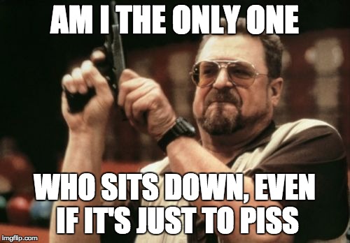 Am I The Only One Around Here Meme | AM I THE ONLY ONE WHO SITS DOWN, EVEN IF IT'S JUST TO PISS | image tagged in memes,am i the only one around here | made w/ Imgflip meme maker