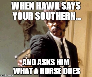 Say That Again I Dare You Meme | WHEN HAWK SAYS YOUR SOUTHERN... AND ASKS HIM WHAT A HORSE DOES | image tagged in memes,say that again i dare you | made w/ Imgflip meme maker